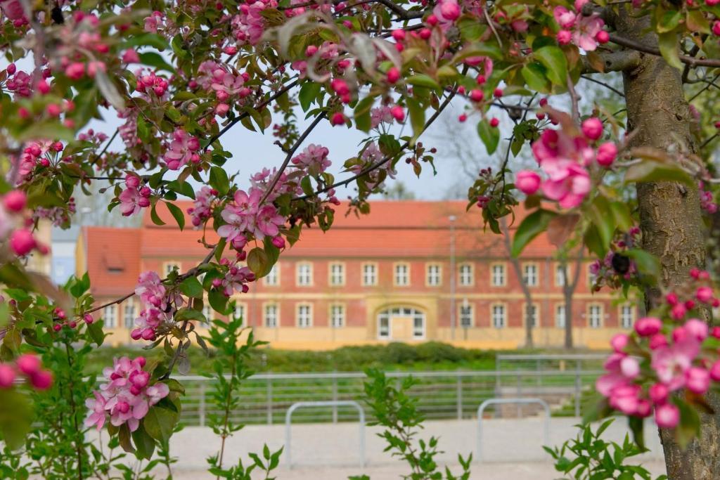 Hotel Vierseithof Luckenwalde Eksteriør bilde